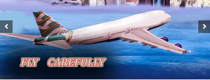 Airport Hostess Simulator: Brazilian Flight 2K20 SellUnitySourceCode.com screenshot 2